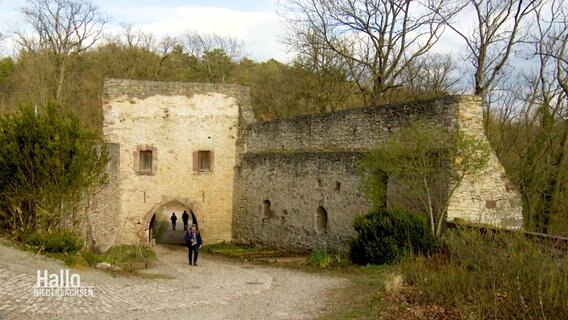 Der Eingang der Burgruine Plesse.  